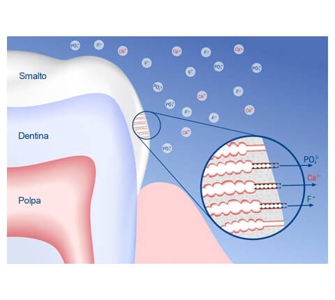 anticaerboristeria_it_studi_emineralizzazione_profonda_1_480x430